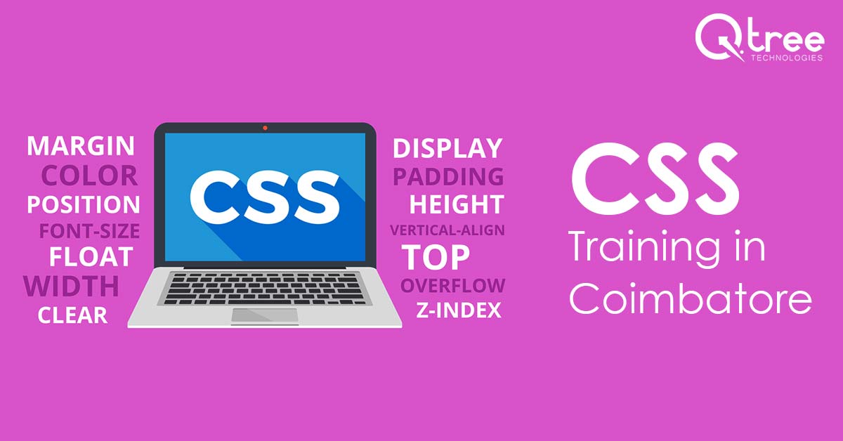 CSS Training in Coimbatore